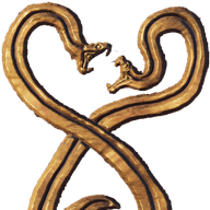 The Cult of the Snake