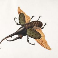 Receiver of Fine Relics