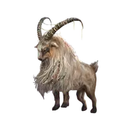 Giant Goat