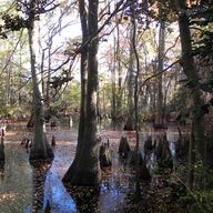 Los Pantanos de Ban Ard