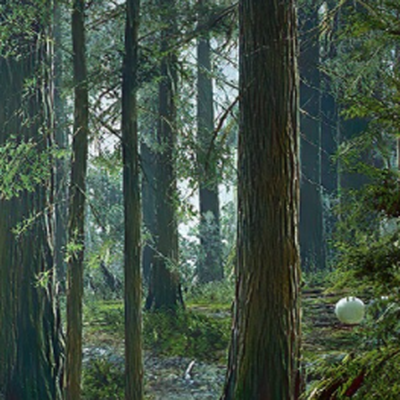 Vastarian Forest header image