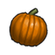 Sweet Pumpkin