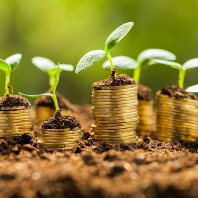 Famille GRENTZEN header image