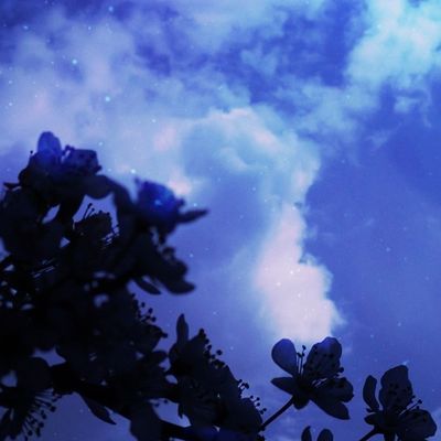 Les "Filles" de Falka header image