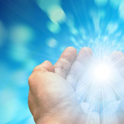 Meute de l'Oiseau Médecine header image