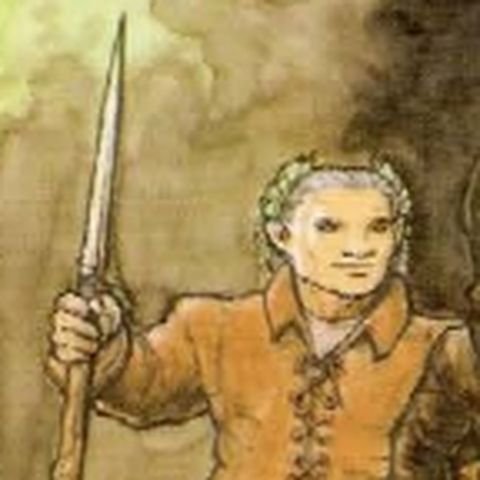 Baervan Errante Selvagem