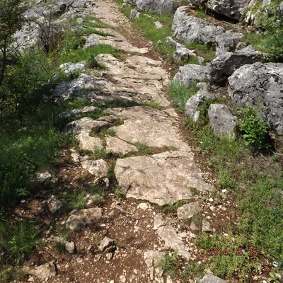 The Long Road header image