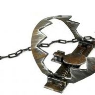 Bear Trap