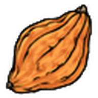 Golden Hubbard Squash