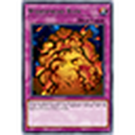 YuGiOh! - Widespread Ruin