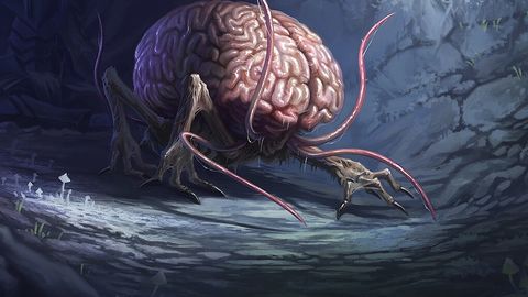 ST14. Brains at the Brewery