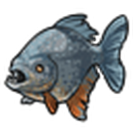 Piranha