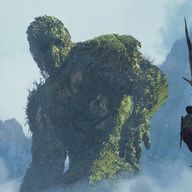 Forest Giant, Nagiantia