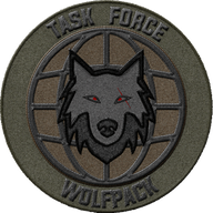 Task Force Wolfpack