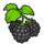 Blackberries