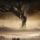 Arbre Mortuaire