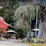 Инотакимура