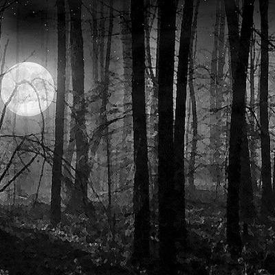 Lord Quinn " Sombre Chêne" header image