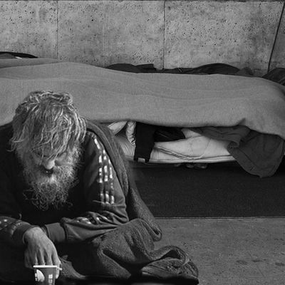 Xaviar " Ours Valeureux " header image