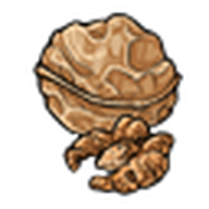 Walnut