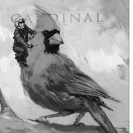 Earl Comstock on Cardinal