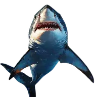Great White Shark