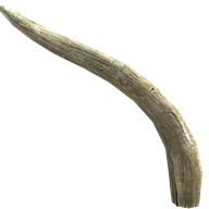 Mammoth Tusk