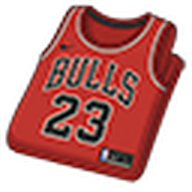 Michael Jordan Bulls Jersey