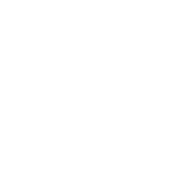 Fallout