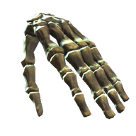 Hand Bones