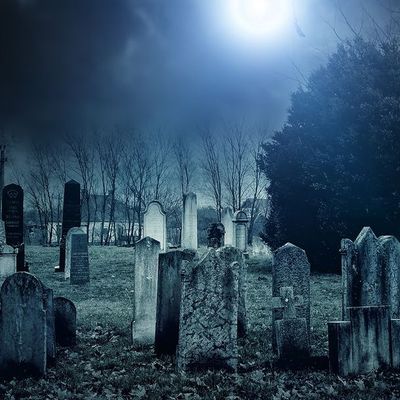 Les Mortu-macaabs header image