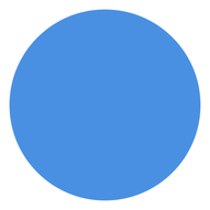 2.0 Briefing & Directives