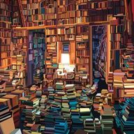 Caminho para o Norte, O