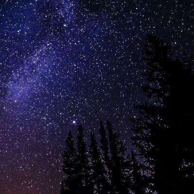 Muliphen header image