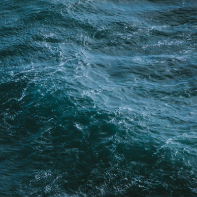 Jackdaw header image