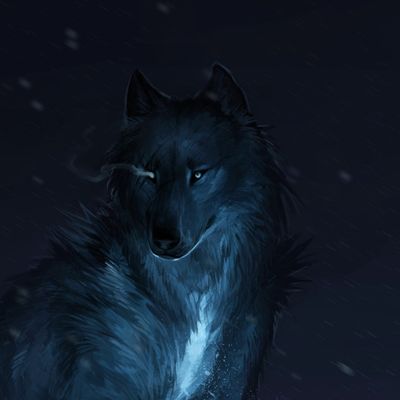 Meute du Loup de l'Hiver header image