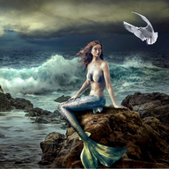 Bay of Drowned Sorrows