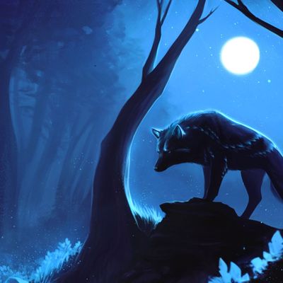 Pouls de la Proie header image