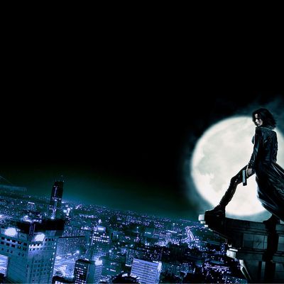 Cour d'Oceanside header image