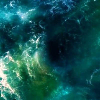 Meute de l'Eternel Espoir header image