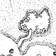 Bergkristall zu Gold/Astraltränken tauschen