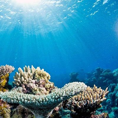 Milagros header image