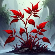 Красноцветы