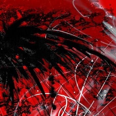 Plume noire header image