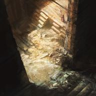 The Trial of Vicaris