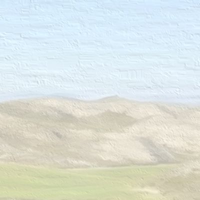 Caballos Plains header image