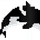 Orca