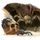 Giant Spider