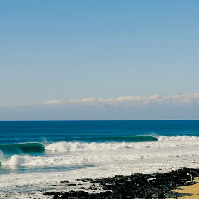 Northern Light header image