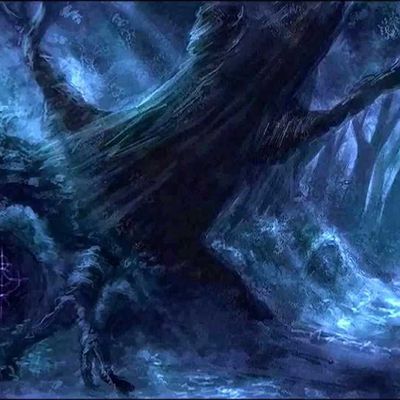 Millennium Forest header image